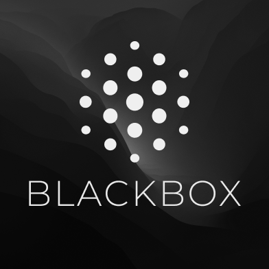 BLACKBOX AI CODER
