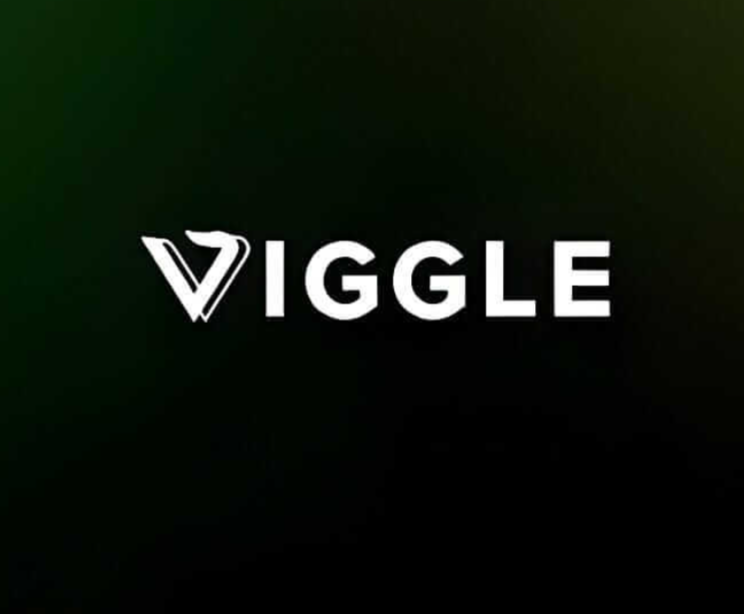 VIGGLE AI